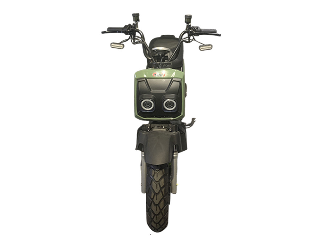 DZ102 EEC E-motorcycle 图3