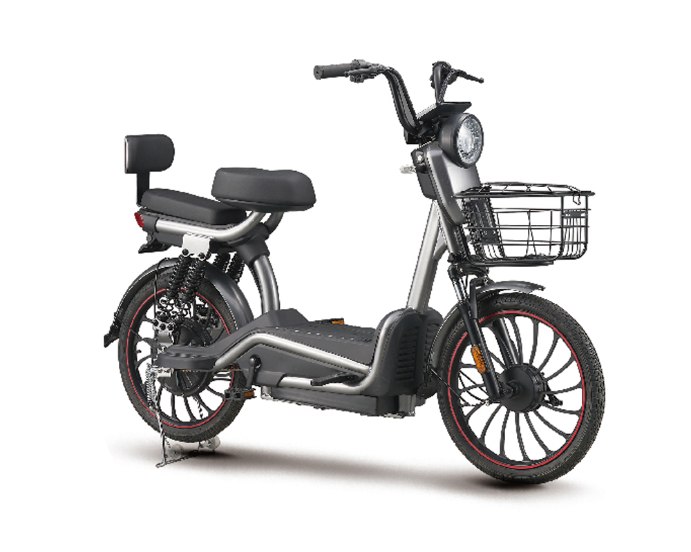 ZYF-800 (EEC) E-motorcycle